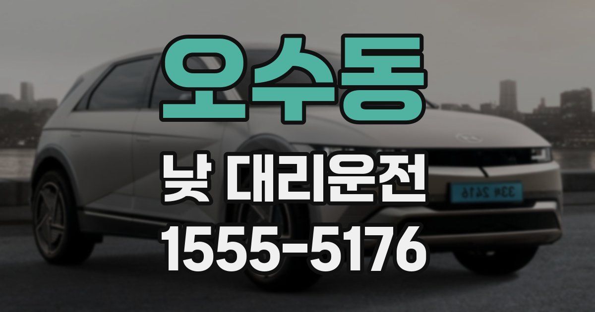 오수동 낮 대리운전