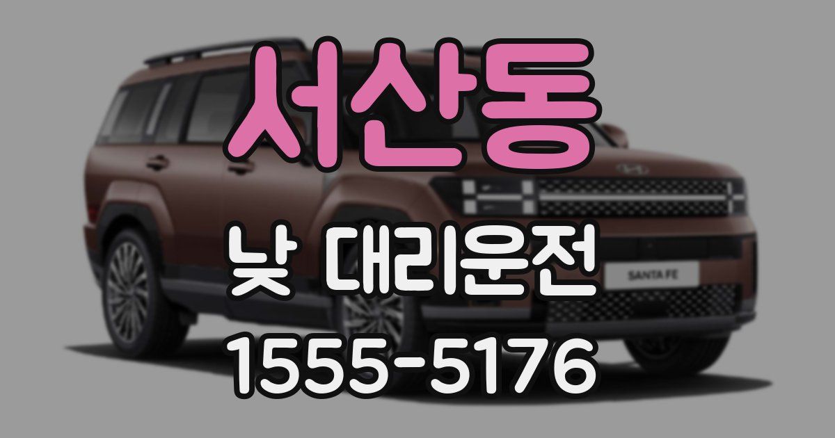 서산동 낮 대리운전