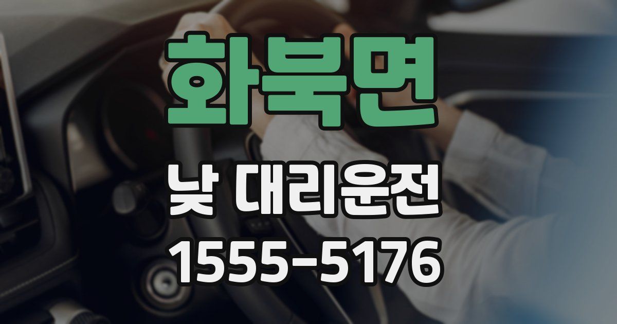 화북면 낮 대리운전