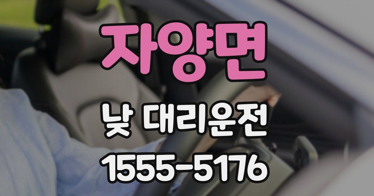 자양면 낮 대리운전