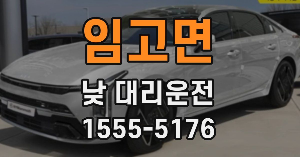 임고면 낮 대리운전