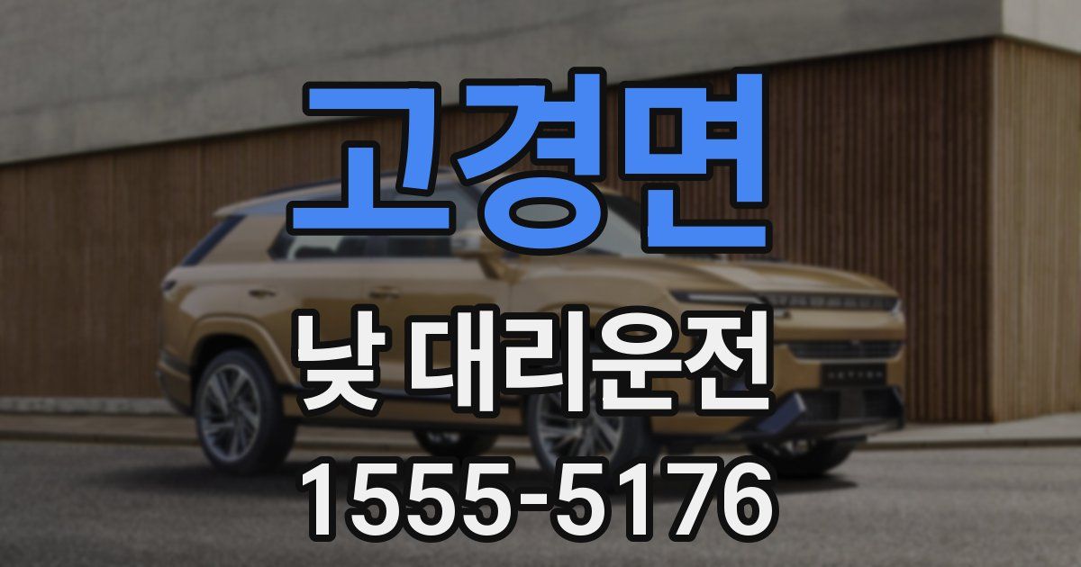 고경면 낮 대리운전