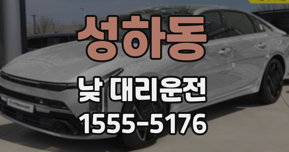 성하동 낮 대리운전