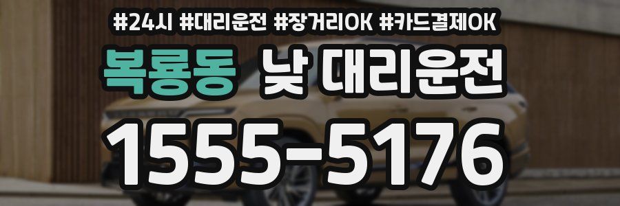 복룡동 낮 대리운전