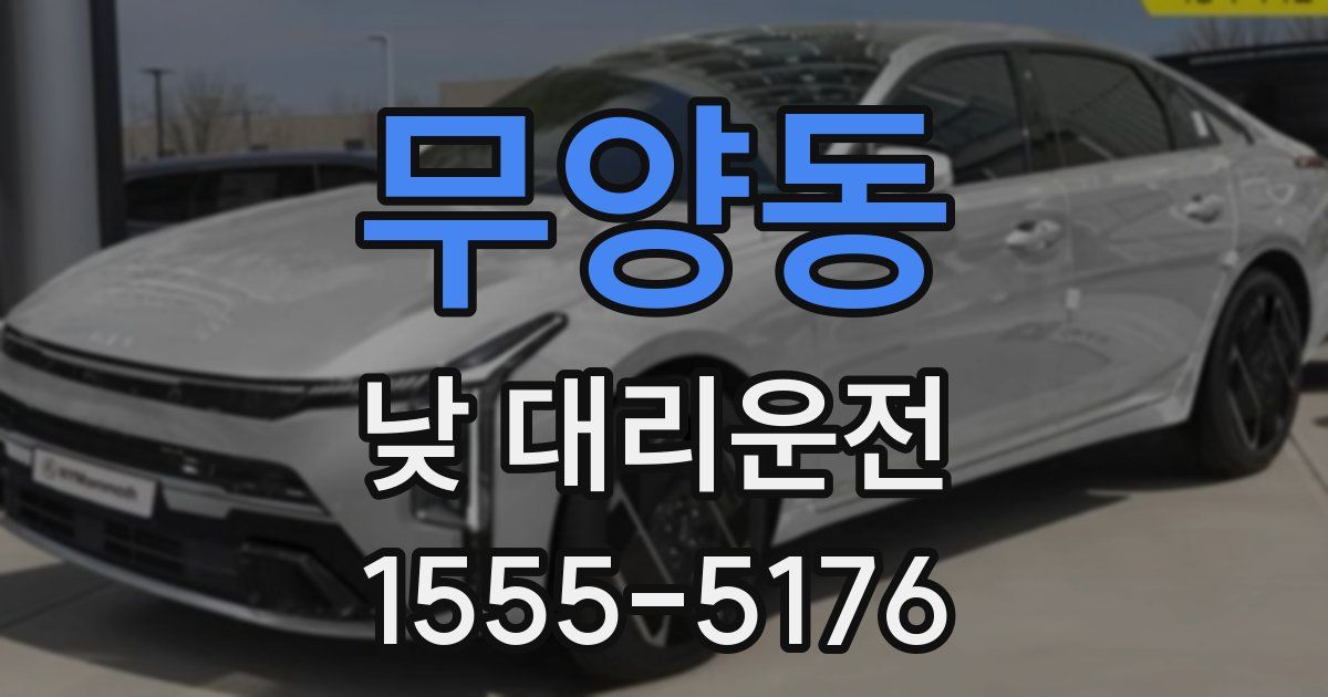 무양동 낮 대리운전