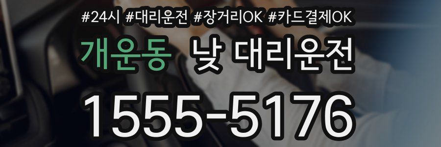 개운동 낮 대리운전