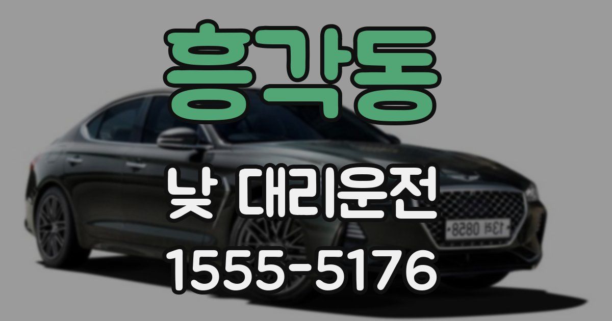 흥각동 낮 대리운전