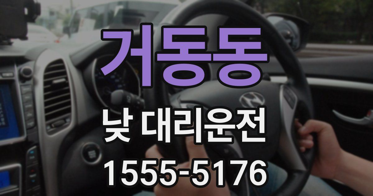 거동동 낮 대리운전