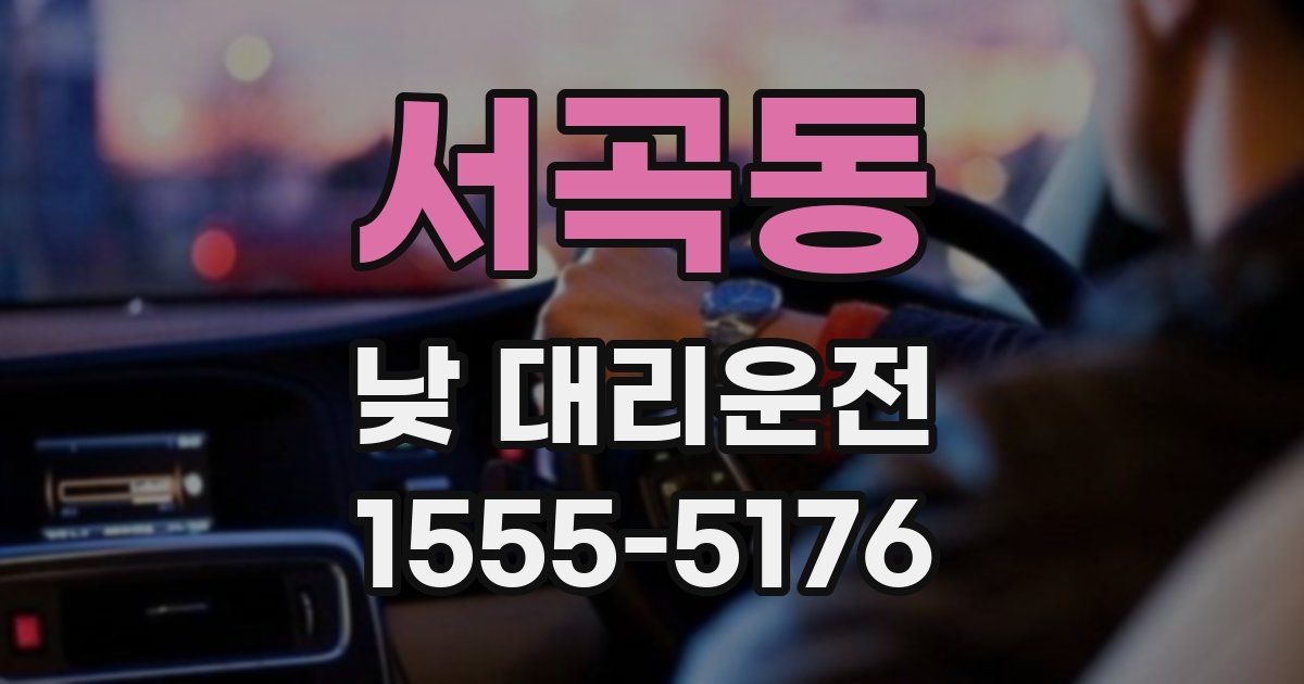 서곡동 낮 대리운전
