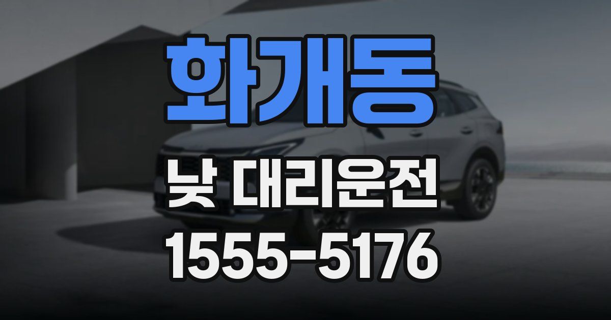 화개동 낮 대리운전