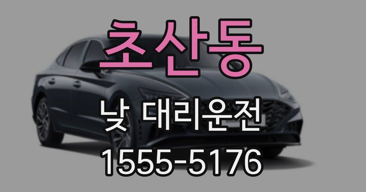 초산동 낮 대리운전