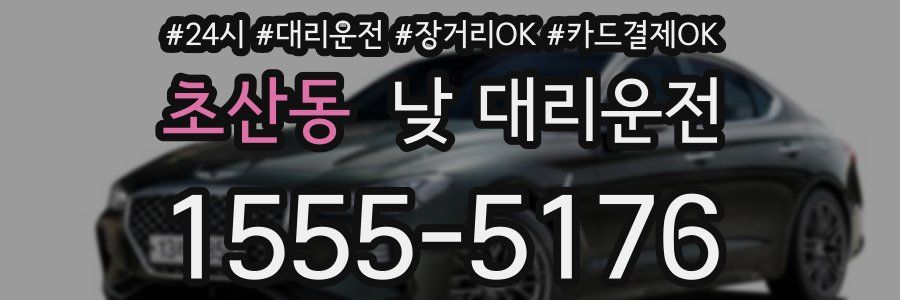 초산동 낮 대리운전