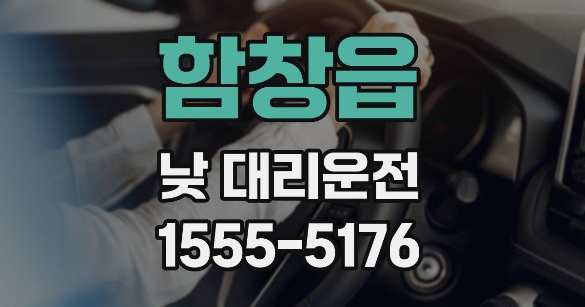함창읍 낮 대리운전