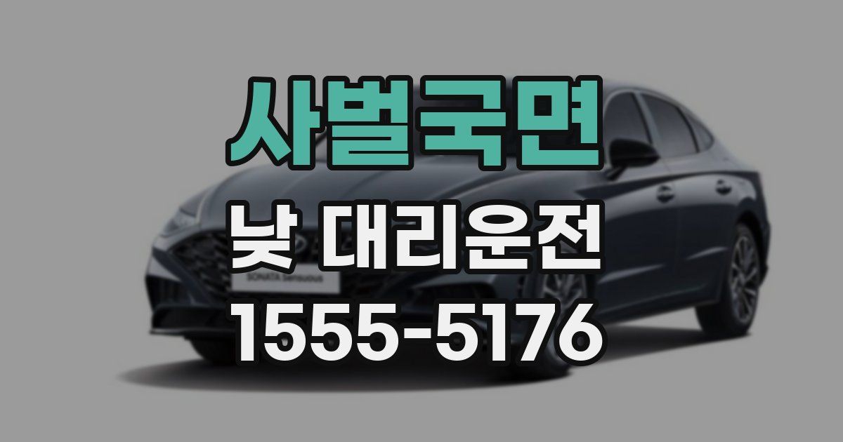 사벌국면 낮 대리운전