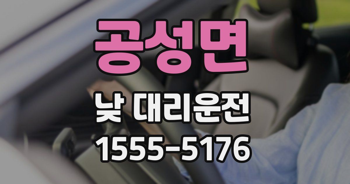 공성면 낮 대리운전