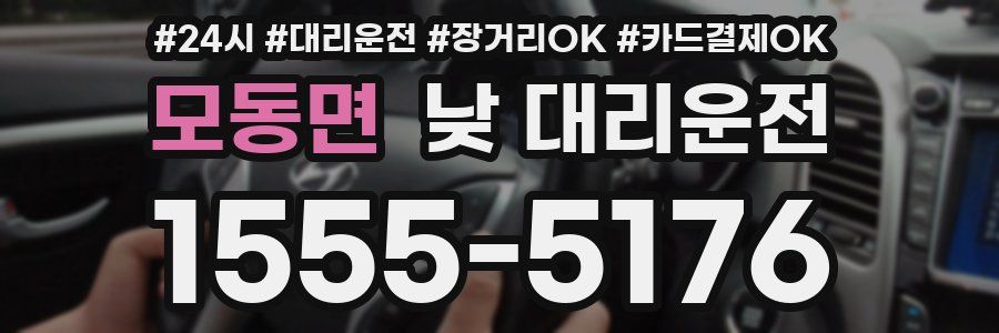 모동면 낮 대리운전