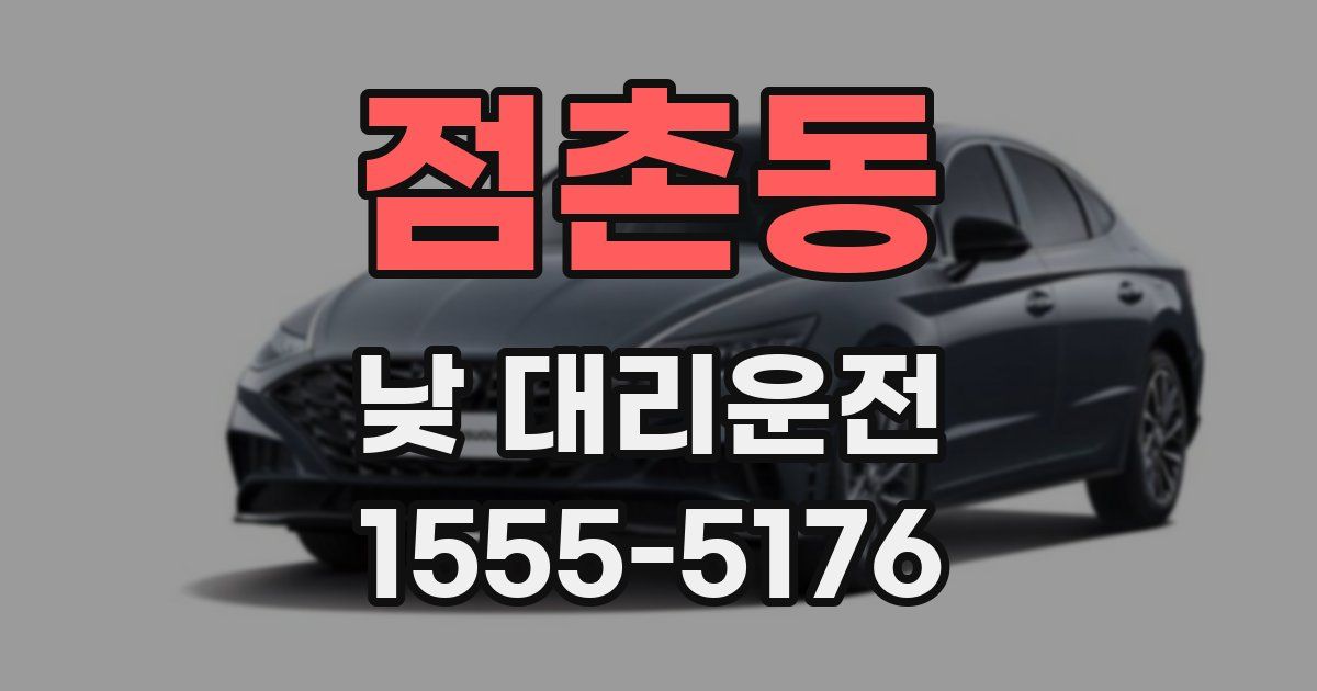 점촌동 낮 대리운전