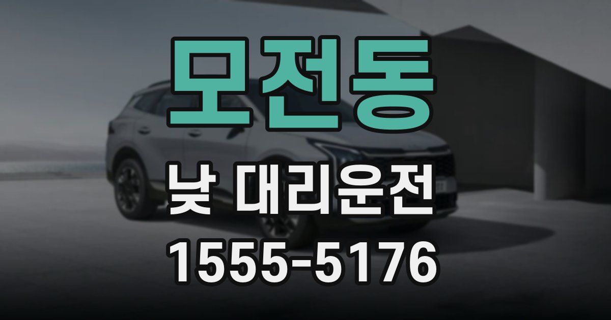 모전동 낮 대리운전