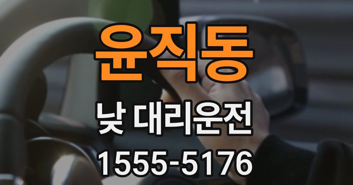 윤직동 낮 대리운전