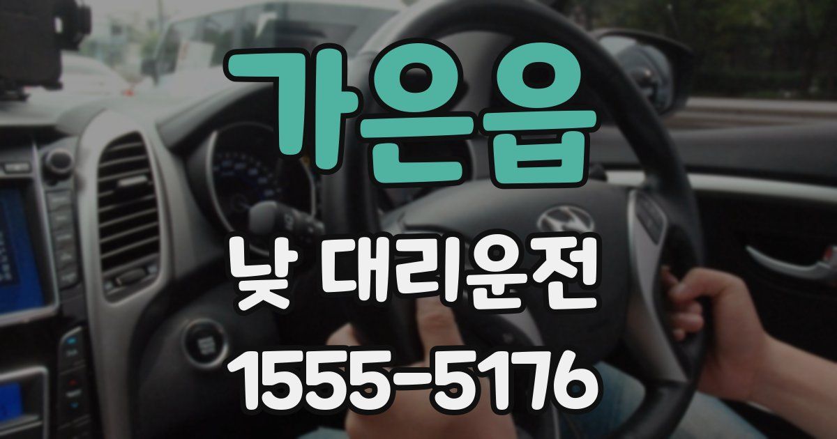 가은읍 낮 대리운전