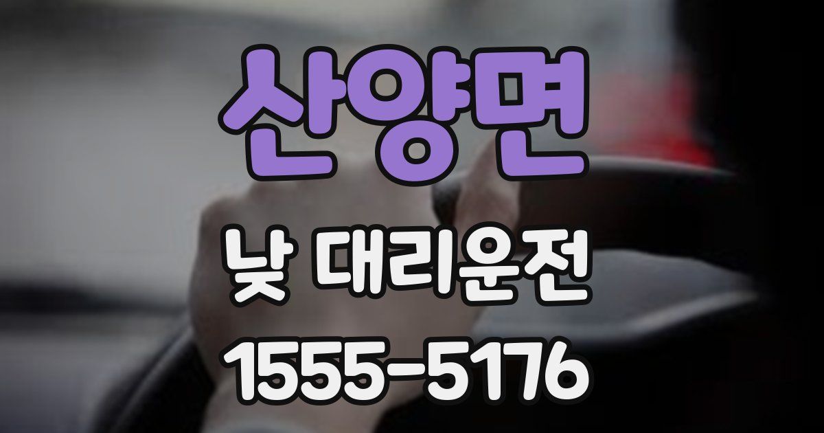 산양면 낮 대리운전