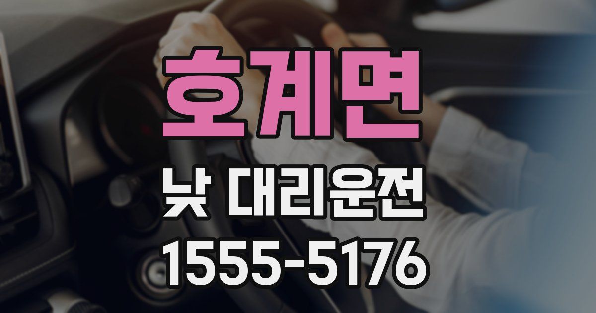 호계면 낮 대리운전
