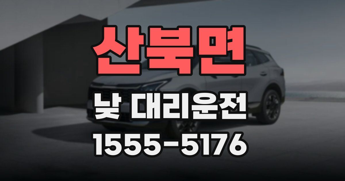 산북면 낮 대리운전