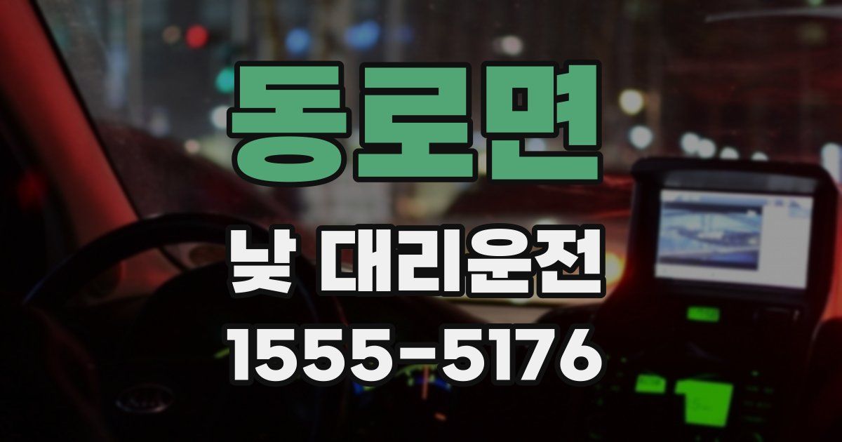 동로면 낮 대리운전