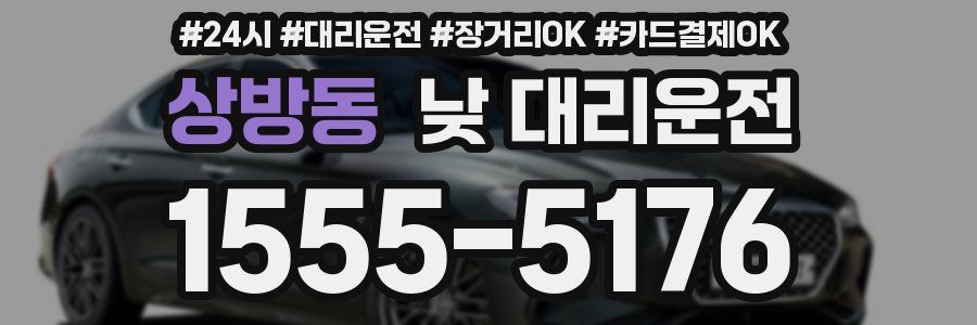 상방동 낮 대리운전