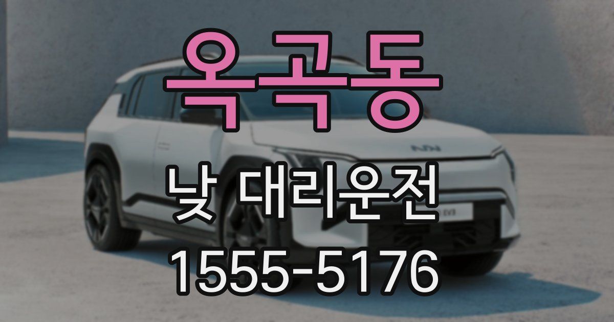 옥곡동 낮 대리운전