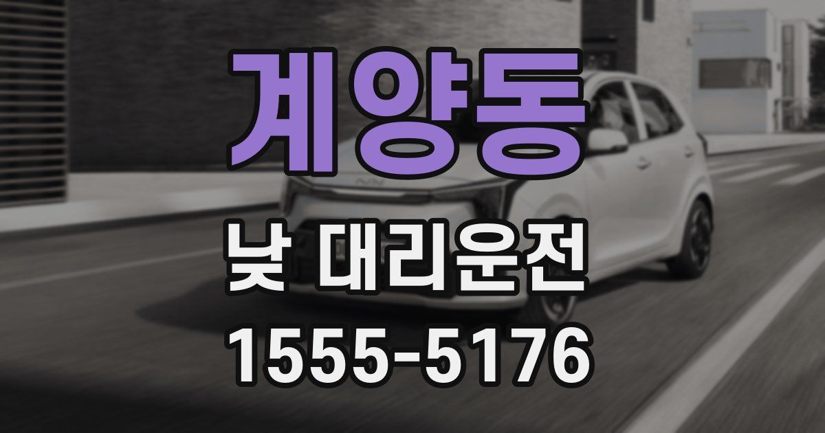 계양동 낮 대리운전