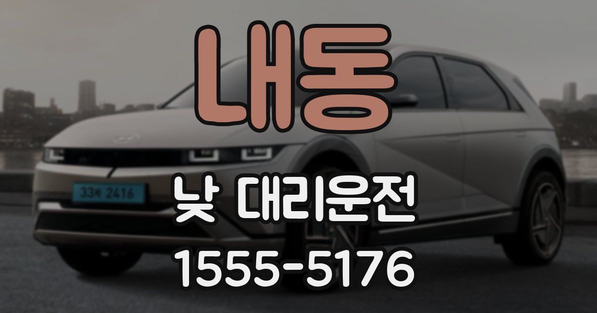 내동 낮 대리운전