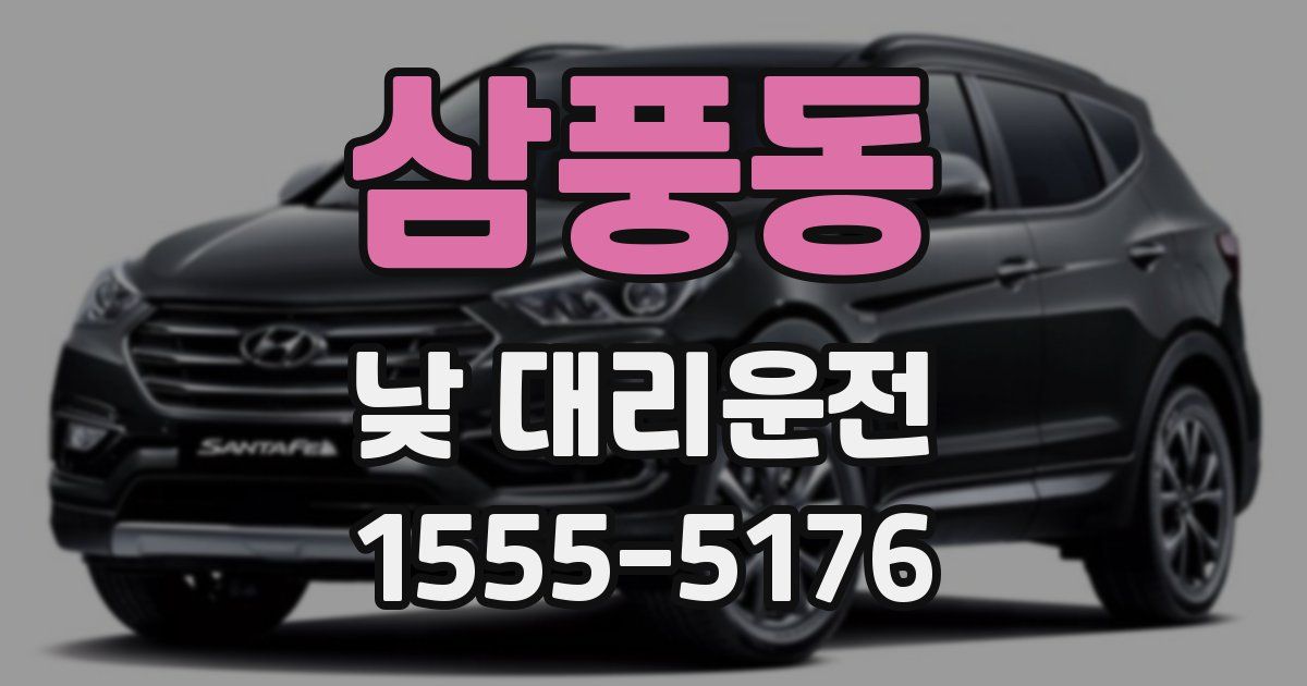 삼풍동 낮 대리운전