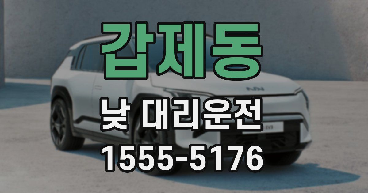 갑제동 낮 대리운전