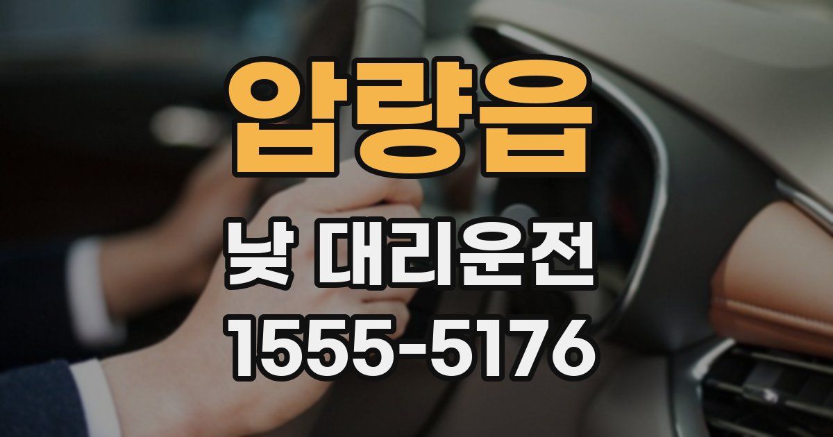 압량읍 낮 대리운전