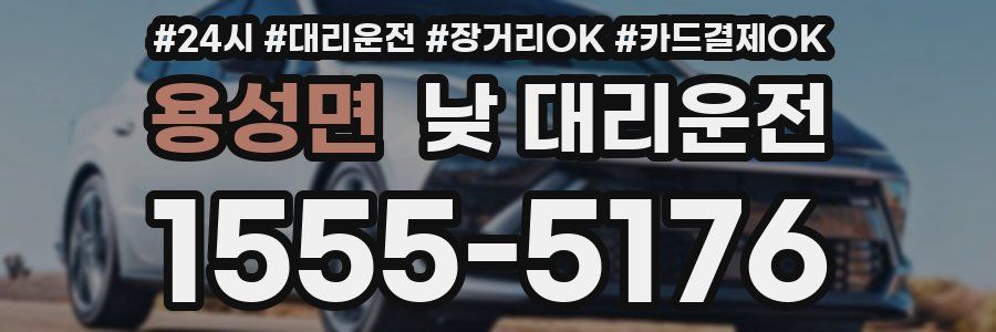 용성면 낮 대리운전