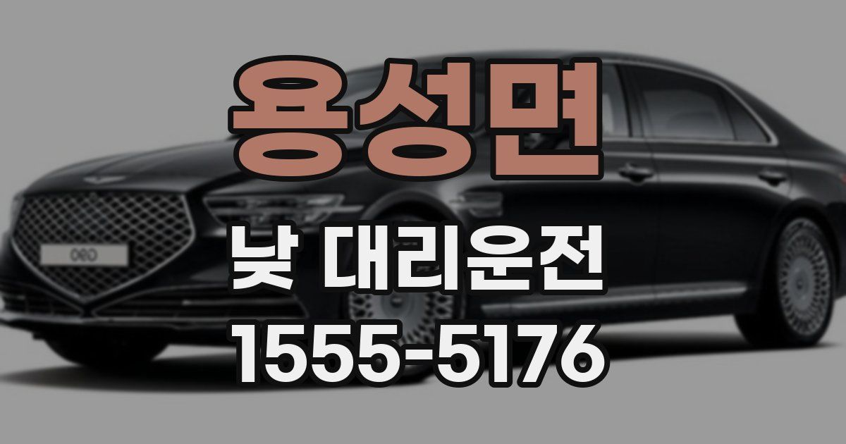 용성면 낮 대리운전