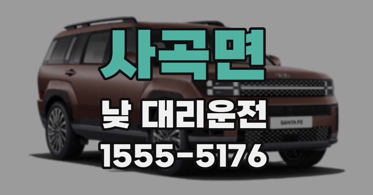 사곡면 낮 대리운전