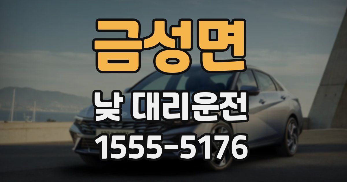 금성면 낮 대리운전