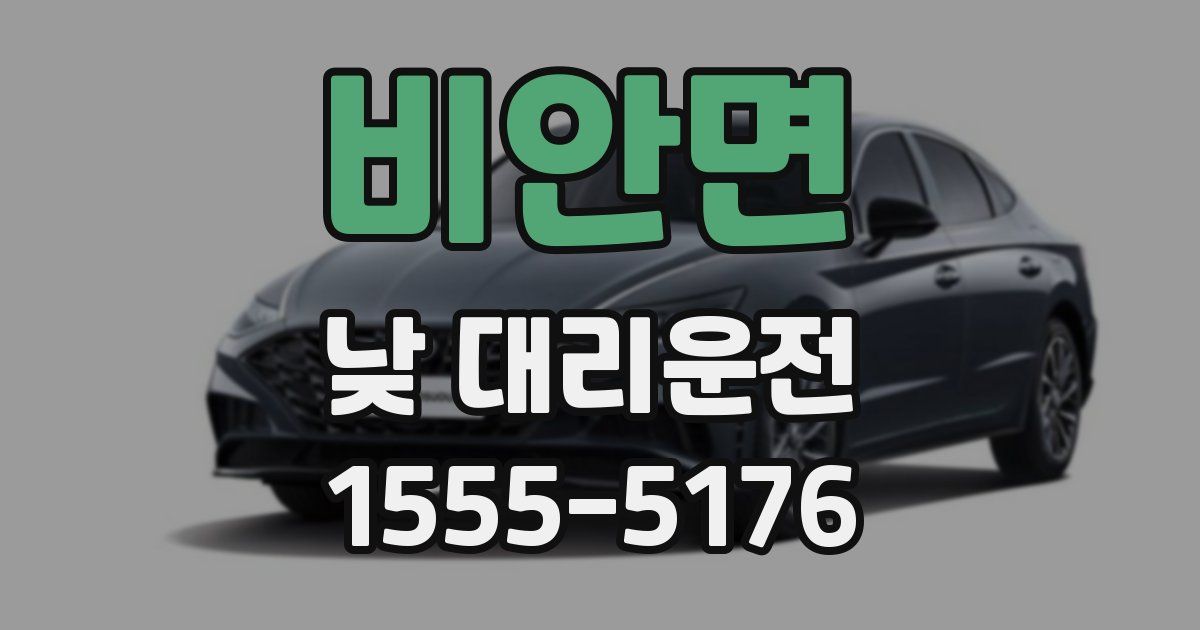 비안면 낮 대리운전