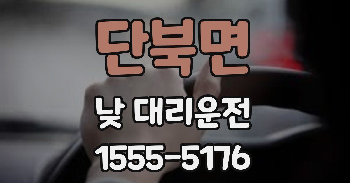 단북면 낮 대리운전