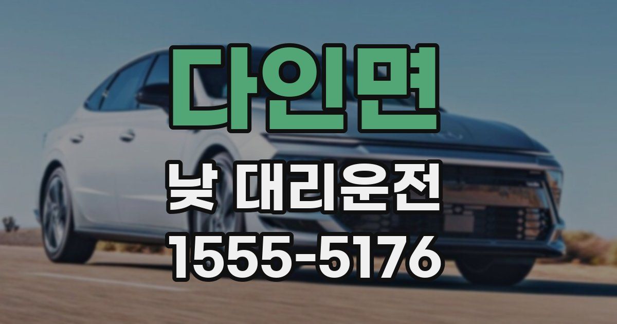 다인면 낮 대리운전