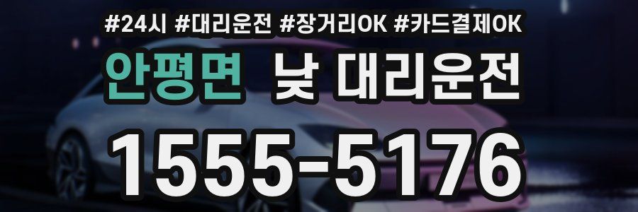 안평면 낮 대리운전