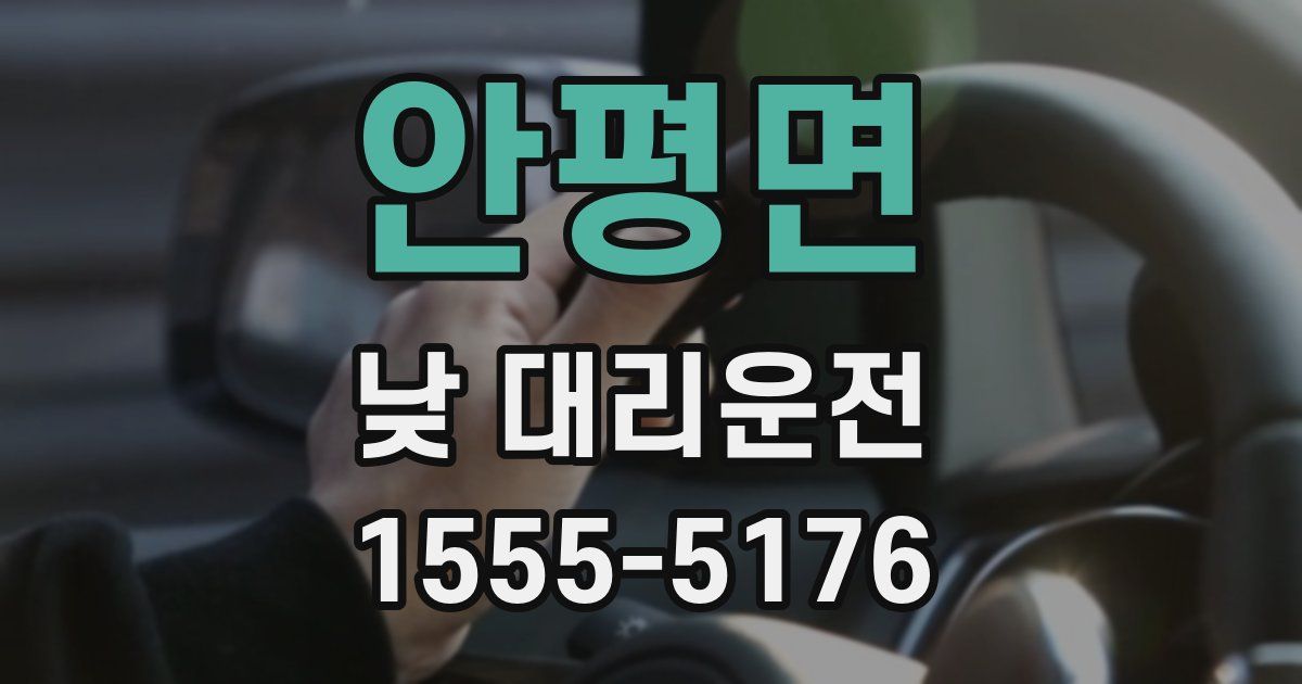 안평면 낮 대리운전
