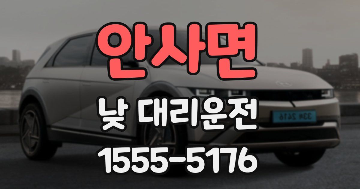 안사면 낮 대리운전
