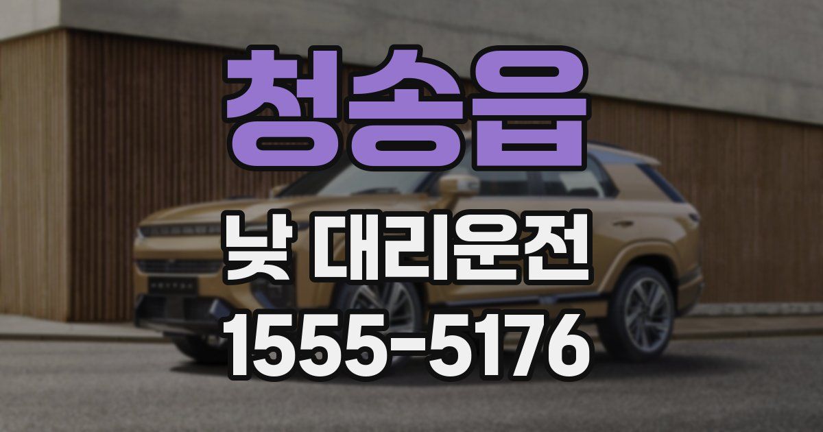 청송읍 낮 대리운전