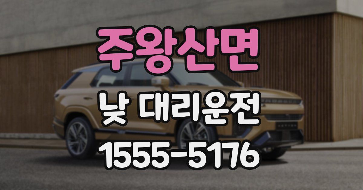 주왕산면 낮 대리운전