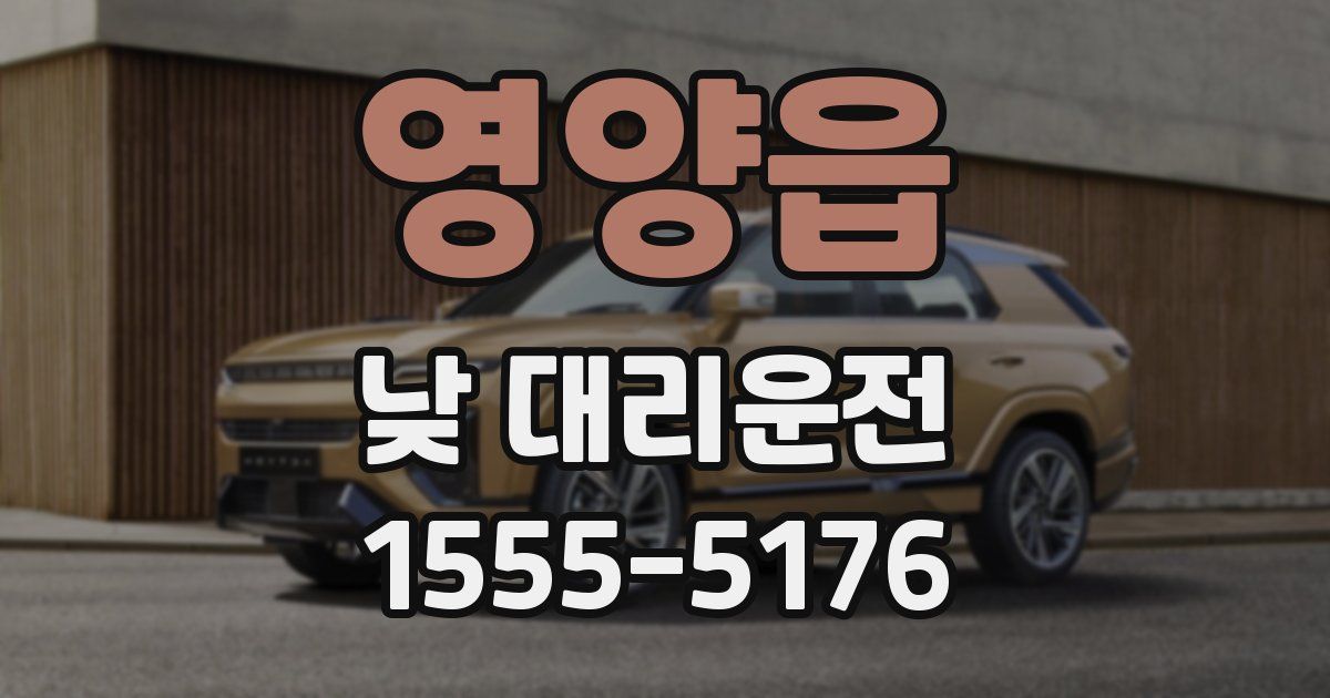 영양읍 낮 대리운전