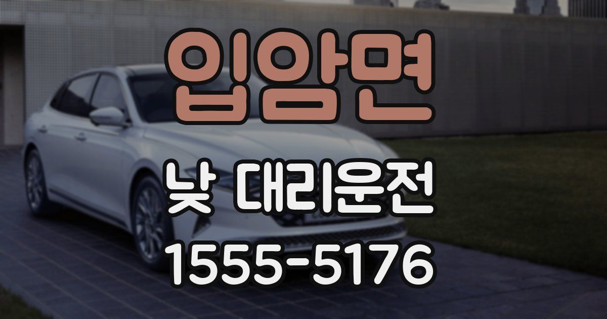 입암면 낮 대리운전