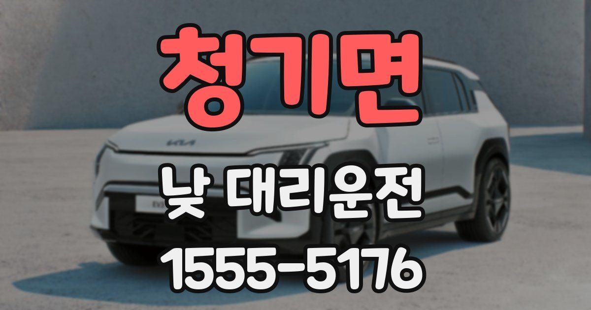 청기면 낮 대리운전